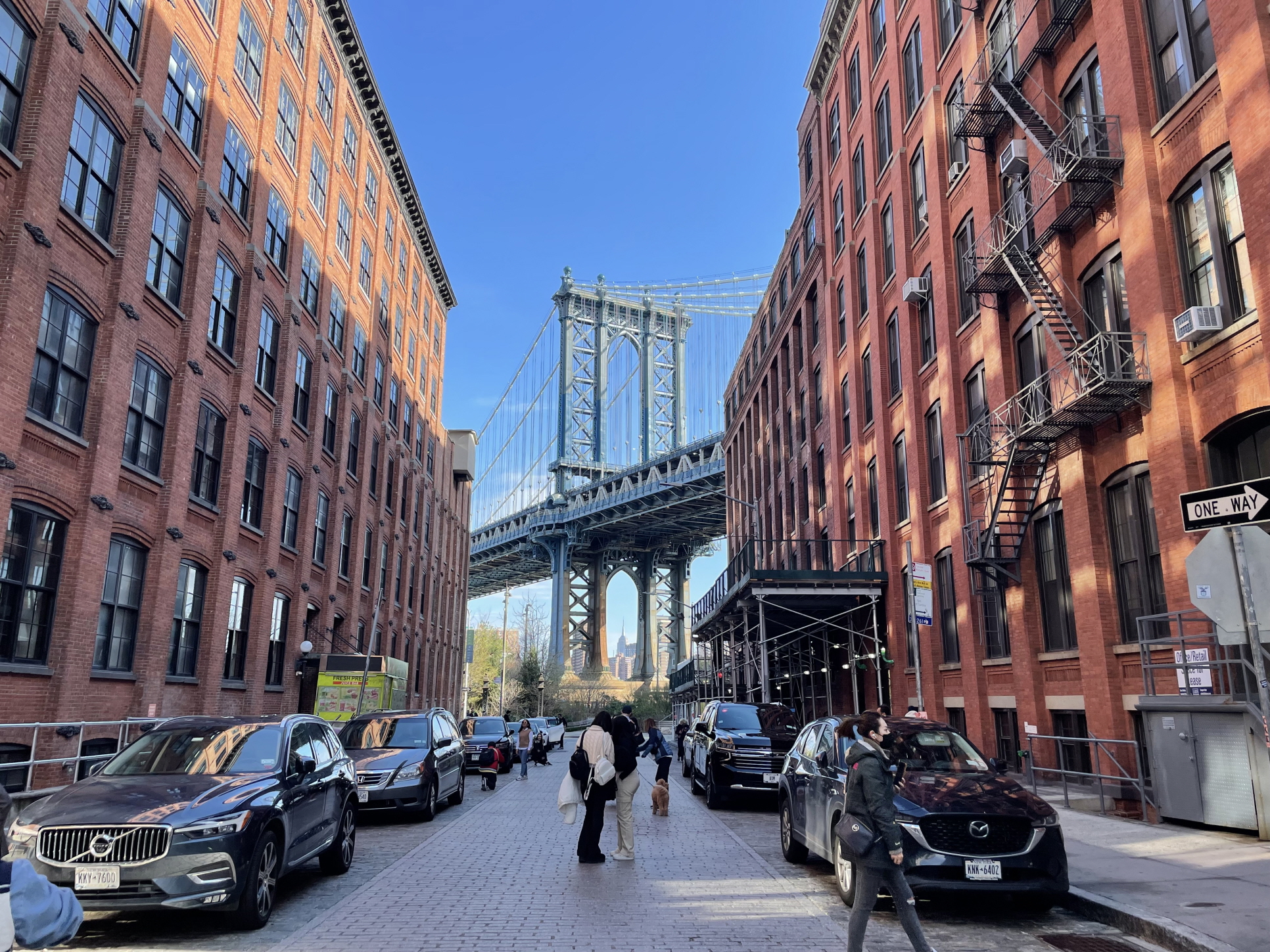 Dumbo 사진 촬영